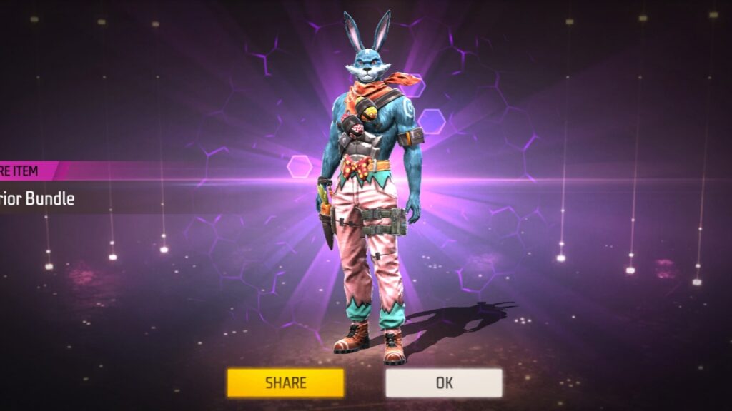 Bunny Bundle